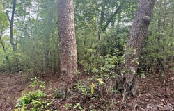 V/L Tahawus Drive, Bostic, NC 28018