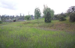 Train Lane, Shady Cove, OR 97539