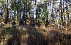 Lt.7 LAKE SINCLAIR DR., Sparta, GA 31087