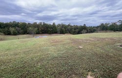 912 Ebenezer road, Amity, AR 71921