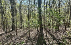 L42a & 43a Eaglecrest Road, Cape Fair, MO 65624