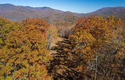 Copperhead Cove lot: 7, Sylva, NC 28779