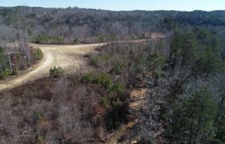 CO RD 3520, Haleyville, AL 35565