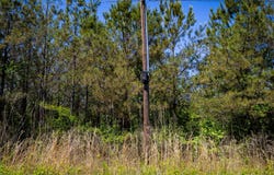 Burntfields Rd, Fulton, MS 38843