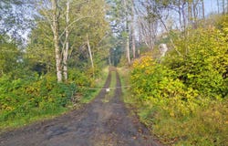 TL 200 N Echo Mountain Rd, Otis, OR 97368