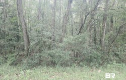 03 Two Mile Rd, Irvington, AL 36544