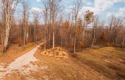10550 S Cedar Road, Cedar, MI 49621