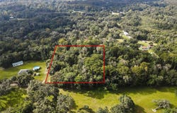 PALMER Lane, SPRING HILL, FL 34610