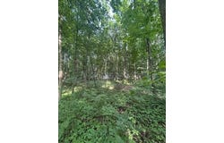 5387 Dildine Road, Delaware, OH 43015