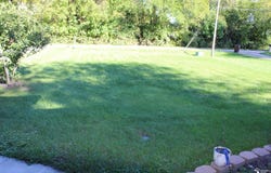 9919 Minx Rd, Temperance, MI 48182
