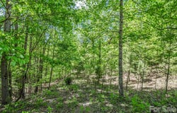 206 Westmoreland Trail, Tryon, NC 28782
