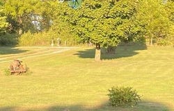 172 S Dade 249, Walnut Grove, MO 65770