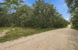 ELAINE Drive, WEBSTER, FL 33597