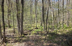Union Road, Holland, MA 01521