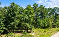 176 Xpress Lane, Hochatown, OK 74728