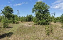 Vacant NE Cedar Trail, Pinetta, FL 32331