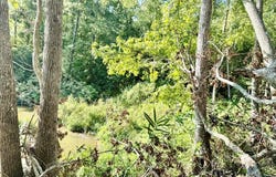 237 Terrapin Pointe Rd, Greenwood, SC 29649