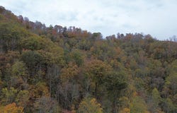 Roy Hill Rd., Hindman, KY 41822