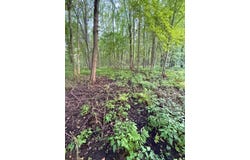 V/L Onondaga, Holt, MI 48842