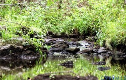 Greenes Corner Road, Bumpass, VA 23024