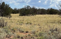 2445 Athapascan Drive, Heber, AZ 85928