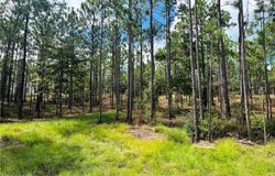 State Highway 225, Bay Minette, AL 36507