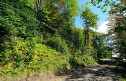 2-42 Coopers Trace lot: 2-42, Plymouth, VT 05056