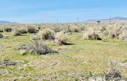 11385 Rye Patch Reservoir Road, Lovelock, NV 89419