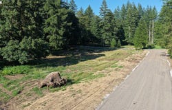 136 Bobcat Pl, Ariel, WA 98603
