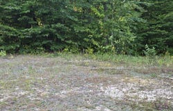 1155 Dickvale Road, Peru, ME 04290