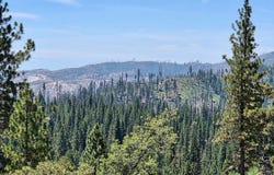 167 Pine Cone Path, North Fork, CA 93643