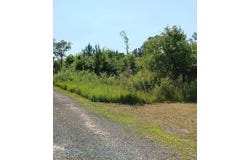 Primus Drive, Saint George, SC 29477