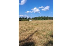 142E, Doniphan, MO 63935