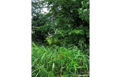 704 Larimer Lane, Charlotte, NC 28262