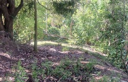CARR 414 KM 1.3 INT, RINCON, 00677