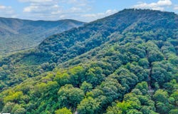 Hogback Mountain Road, Tryon, NC 28782