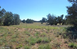 N5549, Concho, AZ 85924