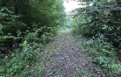 216 Lower Capuchin Rd, Winfield, TN 37892