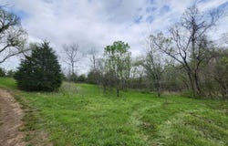 County Road 250-80, Drury, MO 65638