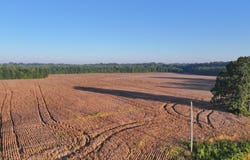 County Road 87, New Albany, MS 38652