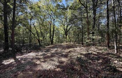 196 Gorby Road, Calico Rock, AR 72519