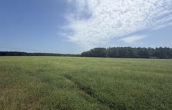 2 County Rd 238, Headland, AL 36345