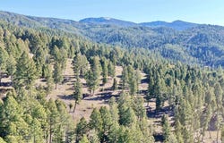 Lot 5 Scranton Lode, Philipsburg, MT 59858