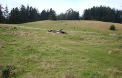 Berta Road, Eureka, CA 95503