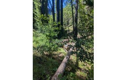 Skaggs Springs Road, Geyserville, CA 95441