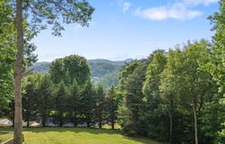 115 Wildcat Run Road, Suches, GA 30572
