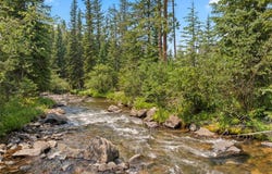 279 River Park Drive, BRECKENRIDGE, CO 80424
