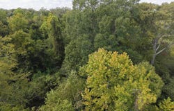 Brushy Creek Road, Rison, AR 71665