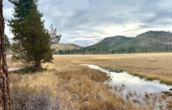 APN 047 State Route 89, Markleeville, CA 96120