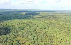 McNeil Road, Avinger, TX 75630